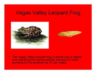 Vegas Valley Leopard Frog




• The Vegas Valley leopard frog is extinct due to habitat
  loss resulting from spring capture and ground water
  pumping by the growing city of Las Vegas.
 