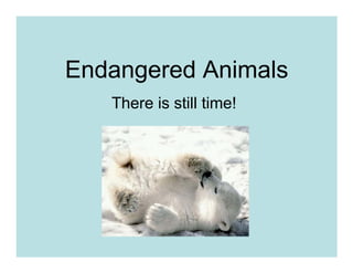Endangered Animals
   There is still time!
 
