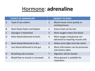 Hormone: adrenaline