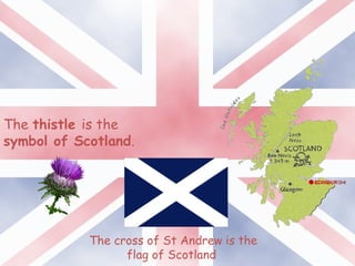 The thistle is the
symbol of Scotland.
The cross of St Andrew is the
flag of Scotland
 