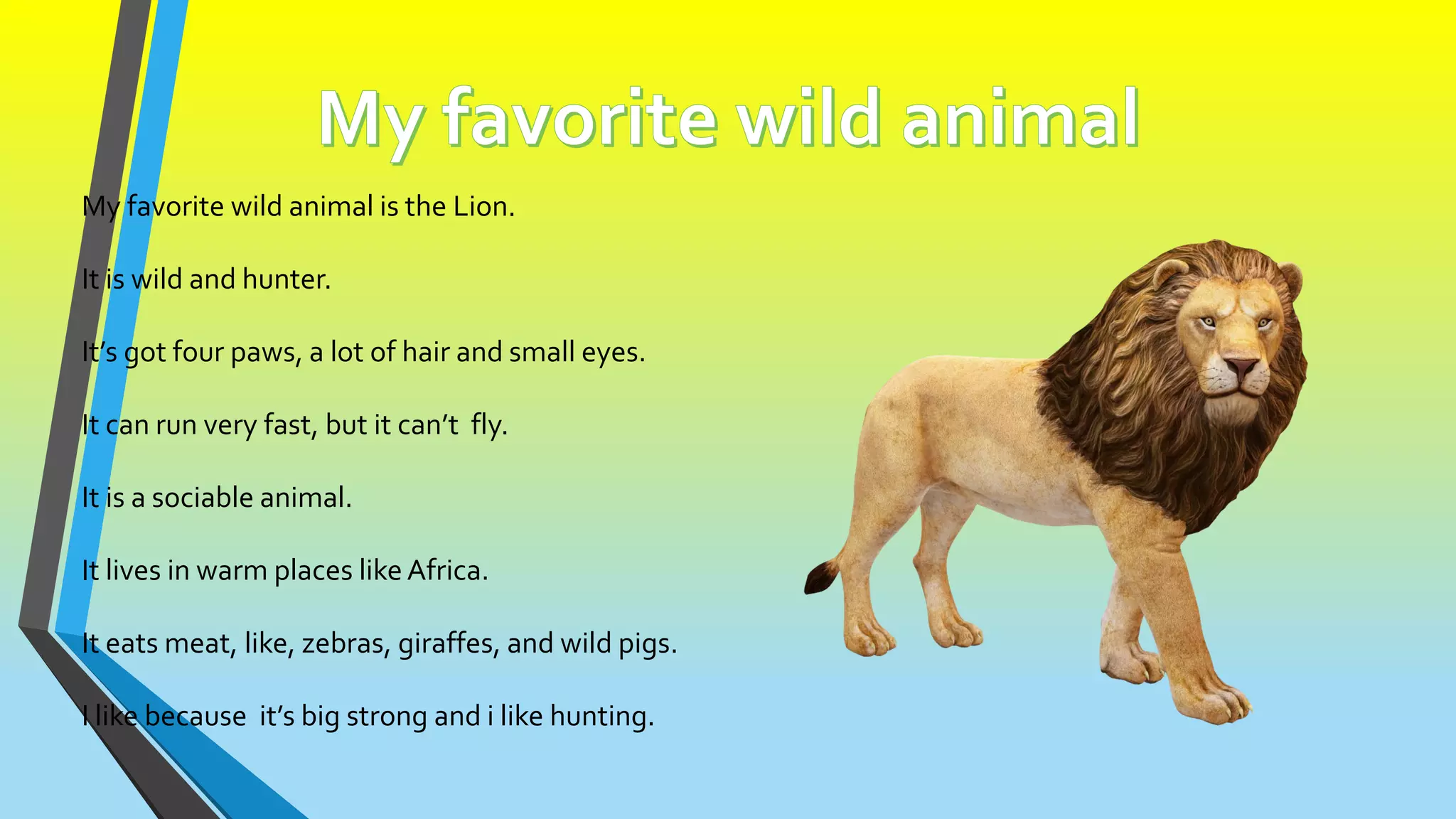 My favorite wild animal is the Lion.
It is wild and hunter.
It’s got four paws, a lot of hair and small eyes.
It can run very fast, but it can’t fly.
It is a sociable animal.
It lives in warm places likeAfrica.
It eats meat, like, zebras, giraffes, and wild pigs.
I like because it’s big strong and i like hunting.
 