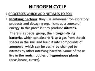 NITROGEN CYCLE1)PROCESSES WHICH ADD NITRATES TO SOILNitrifying bacteria: they use ammoniafronexcretoryproducts and decayingorganisms as a source of energy. In thisprocessthey produce nitrates. Thereis a specialgroup, thenitrogen-fixing bacteria, which can absorb N₂ as a gas fromthe air spaces in thesoil, and builditintocompounds of ammonia, which can beeasilybechangedtonitratesbyothernitrifying bacteria. Some of theselive in therootsnodulesofleguminousplants(peas,beans, clover).