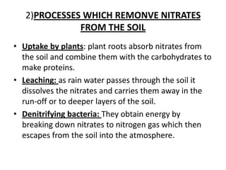 2)PROCESSES WHICH REMONVE NITRATES FROM THE SOILUptakebyplants: plantrootsabsorbnitratesfromthesoil and combine themwiththecarbohydratestomakeproteins.Leaching: as rain waterpassesthroughthesoilitdissolvesthenitrates and carriesthemaway in therun-off ortodeeperlayers of thesoil.Denitrifying bacteria: Theyobtainenergybybreakingdownnitratestonitrogen gas whichthen escapes fromthesoilintotheatmosphere.