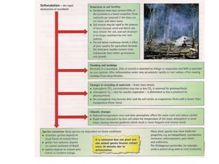 Powerpoint environment