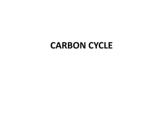 CARBON CYCLE