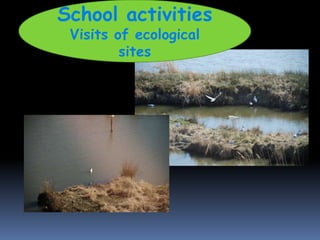 School activities<br />Visits of ecological sites<br />