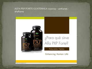 ALFA PXP FORTE GUATEMALA 23321133 – 40164795 - 
56484109 
 