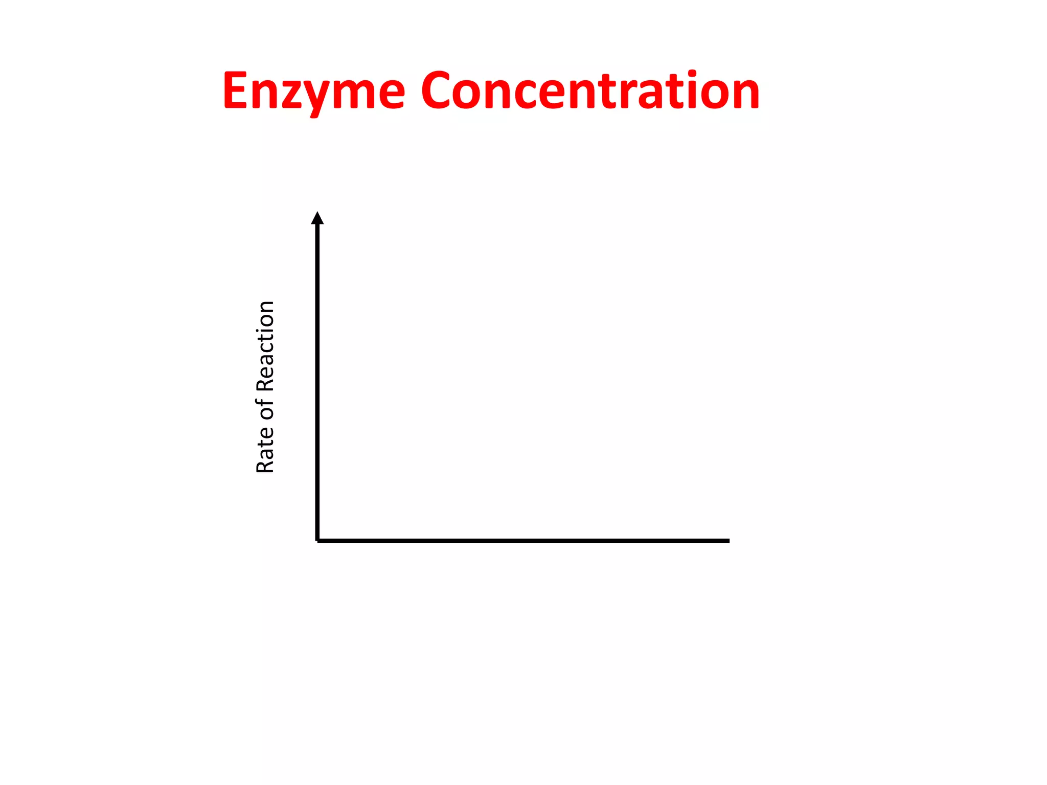 Enzyme Concentration

 Rate of Reaction
 