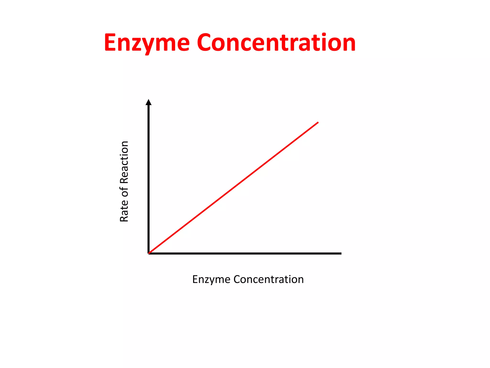 Enzyme Concentration

 Rate of Reaction




                    Enzyme Concentration
 