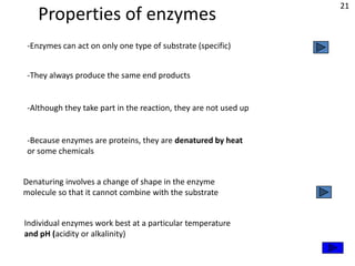 21
    Properties of enzymes
 -Enzymes can act on only one type of substrate (specific)


 -They always produce the same end products


 -Although they take part in the reaction, they are not used up


 -Because enzymes are proteins, they are denatured by heat
 or some chemicals


Denaturing involves a change of shape in the enzyme
molecule so that it cannot combine with the substrate


Individual enzymes work best at a particular temperature
and pH (acidity or alkalinity)
 