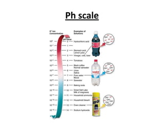 Ph scale
 