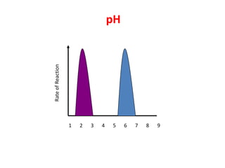 Rate of Reaction




1
2
3
4
5
                       pH




6
7
8
9
 