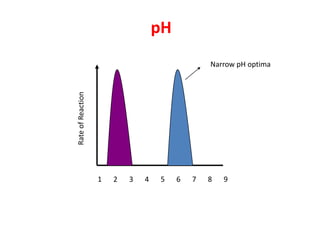 pH
                                                Narrow pH optima

Rate of Reaction




                   1   2   3   4   5    6   7   8   9
 