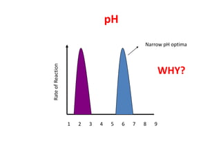 pH
                                                Narrow pH optima

Rate of Reaction

                                                        WHY?



                   1   2   3   4   5    6   7   8   9
 