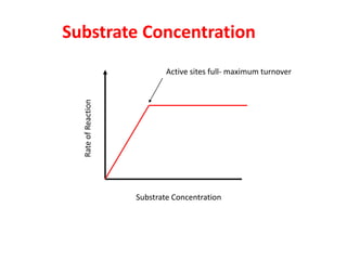 Substrate Concentration
                             Active sites full- maximum turnover
  Rate of Reaction




                     Substrate Concentration
 