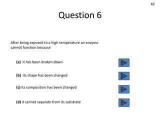 42


                             Question 6

After being exposed to a high temperature an enzyme
cannot function because


   (a) it has been broken down


   (b) its shape has been changed


   (c) its composition has been changed


   (d) it cannot separate from its substrate
 