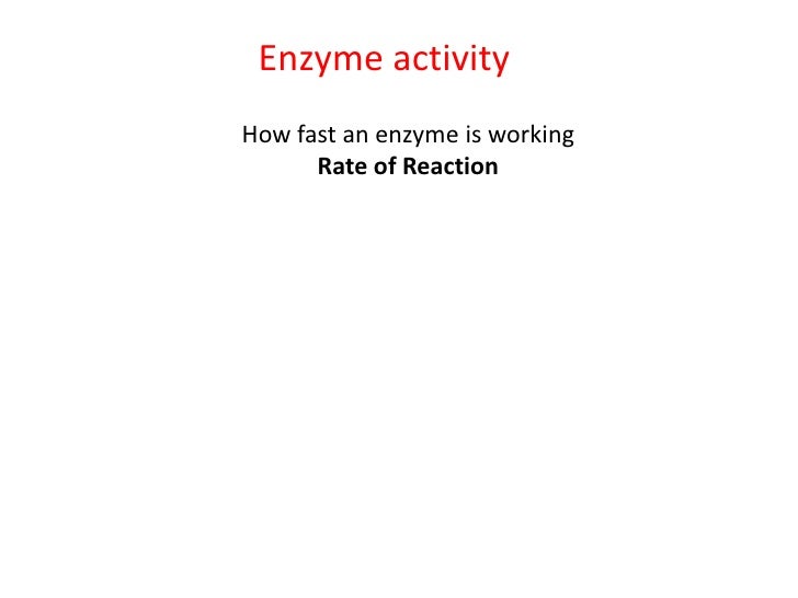 Powerpoint enzymes