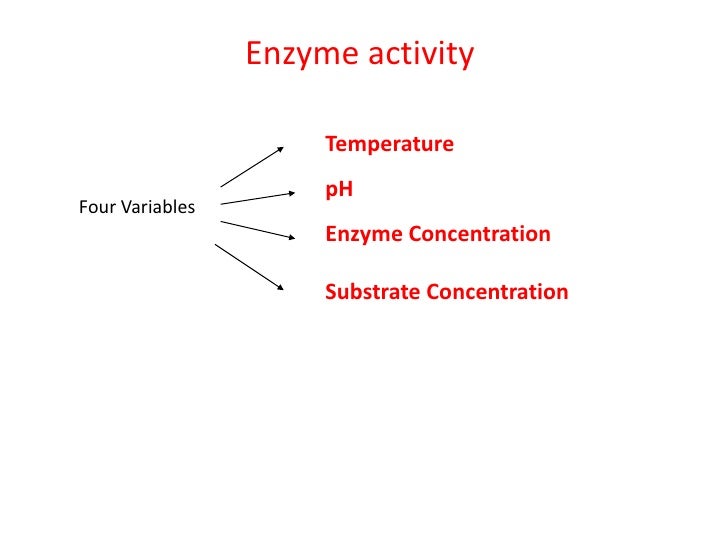 Powerpoint enzymes