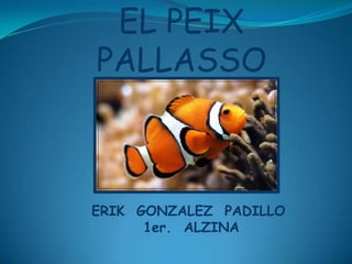 EL PEIX
PALLASSO



ERIK GONZALEZ PADILLO
      1er. ALZINA
 