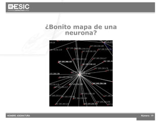 Cultura digital ¿Bonito mapa de una neurona? 