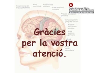 Gràciesper la vostraatenció.