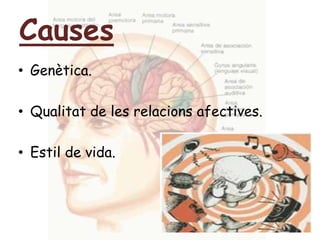CausesGenètica.Qualitat de les relacions afectives.Estil de vida.
