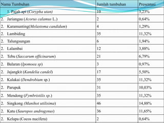 Nama Tumbuhan                        Jumlah tumbuhan   Presentasi
   1. Pajah api (Corypha utan)       10                3,23%
2. Jariangau (Acorus calamus L.)     2                 0,64%
2. Karamunting(Melastoma candidum)   4                 1,29%
2. Lambiding                         35                11,32%
2. Talungsungan                      6                 1,94%
2. Lalambai                          12                3,88%
2. Tebu (Saccarum officinarum)       21                6,79%
2. Balaran (Ipomoea sp)              3                 0,97%
2. Jajangkit (Kandelia candel)       17                5,50%
2. Kalakai (Dendrobium sp.)          35                11,32%
2. Parupuk                           31                10,03%
2. Mendong (Fymbristilis sp.)        35                11,32%
2. Singkong (Manihot utilisima)      46                14,88%
2. Katu (Sauropos androgynus)        36                11,65%
2. Kelapa (Cocos nucifera)           2                 0,64%
 