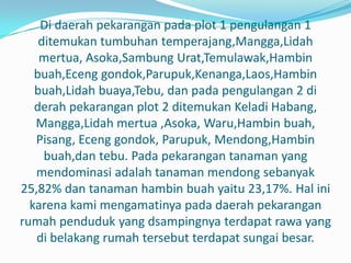 Di daerah pekarangan pada plot 1 pengulangan 1
    ditemukan tumbuhan temperajang,Mangga,Lidah
    mertua, Asoka,Sambung Urat,Temulawak,Hambin
   buah,Eceng gondok,Parupuk,Kenanga,Laos,Hambin
   buah,Lidah buaya,Tebu, dan pada pengulangan 2 di
   derah pekarangan plot 2 ditemukan Keladi Habang,
   Mangga,Lidah mertua ,Asoka, Waru,Hambin buah,
   Pisang, Eceng gondok, Parupuk, Mendong,Hambin
     buah,dan tebu. Pada pekarangan tanaman yang
   mendominasi adalah tanaman mendong sebanyak
25,82% dan tanaman hambin buah yaitu 23,17%. Hal ini
  karena kami mengamatinya pada daerah pekarangan
rumah penduduk yang dsampingnya terdapat rawa yang
   di belakang rumah tersebut terdapat sungai besar.
 