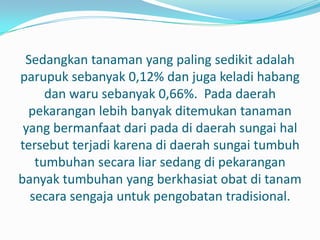 Sedangkan tanaman yang paling sedikit adalah
parupuk sebanyak 0,12% dan juga keladi habang
     dan waru sebanyak 0,66%. Pada daerah
  pekarangan lebih banyak ditemukan tanaman
 yang bermanfaat dari pada di daerah sungai hal
tersebut terjadi karena di daerah sungai tumbuh
   tumbuhan secara liar sedang di pekarangan
banyak tumbuhan yang berkhasiat obat di tanam
  secara sengaja untuk pengobatan tradisional.
 