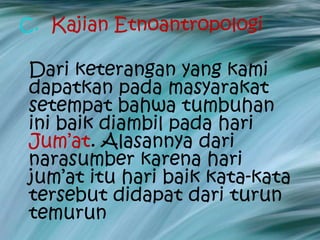 C. Kajian Etnoantropologi

Dari keterangan yang kami
dapatkan pada masyarakat
setempat bahwa tumbuhan
ini baik diambil pada hari
Jum’at. Alasannya dari
narasumber karena hari
jum’at itu hari baik kata-kata
tersebut didapat dari turun
temurun
 
