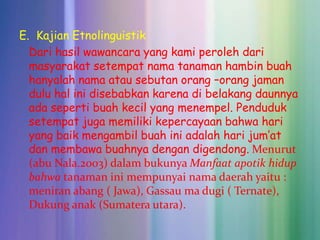 E. Kajian Etnolinguistik
  Dari hasil wawancara yang kami peroleh dari
  masyarakat setempat nama tanaman hambin buah
  hanyalah nama atau sebutan orang –orang jaman
  dulu hal ini disebabkan karena di belakang daunnya
  ada seperti buah kecil yang menempel. Penduduk
  setempat juga memiliki kepercayaan bahwa hari
  yang baik mengambil buah ini adalah hari jum’at
  dan membawa buahnya dengan digendong. Menurut
  (abu Nala.2003) dalam bukunya Manfaat apotik hidup
  bahwa tanaman ini mempunyai nama daerah yaitu :
  meniran abang ( Jawa), Gassau ma dugi ( Ternate),
  Dukung anak (Sumatera utara).
 