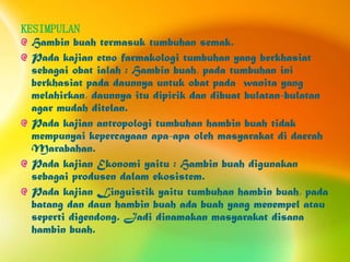 KESIMPULAN
  Hambin buah termasuk tumbuhan semak.
  Pada kajian etno farmakologi tumbuhan yang berkhasiat
  sebagai obat ialah : Hambin buah, pada tumbuhan ini
  berkhasiat pada daunnya untuk obat pada wanita yang
  melahirkan, daunnya itu dipirik dan dibuat bulatan-bulatan
  agar mudah ditelan.
  Pada kajian antropologi tumbuhan hambin buah tidak
  mempunyai kepercayaan apa-apa oleh masyarakat di daerah
  Marabahan.
  Pada kajian Ekonomi yaitu : Hambin buah digunakan
  sebagai produsen dalam ekosistem.
  Pada kajian Linguistik yaitu tumbuhan hambin buah, pada
  batang dan daun hambin buah ada buah yang menempel atau
  seperti digendong. Jadi dinamakan masyarakat disana
  hambin buah.
 