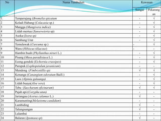 No                                    Nama Tumbuhan             Kawasan

                                                               Sungai    Pekarang
                                                                            an
1.        Temperajang (Bromelia spicatum                         -          √
2         Keladi Habang (Colacasia sp.)                          -          √
3         Mangga (Mangivera indica)                              -          √
4         Lidah mertua (Sanseveieria sp)                         -          √
5         Asoka (Ixora sp)                                       -          √
6         Sambung Urat                                           -          √
7         Temulawak (Curcuma sp.)                          -                √
8         Waru (Hibiscus tiliaceus)                        -                 -
9         Hambin buah (Phyllanthus niruri L.)                    -          √
10        Pisang (Musa paradisiaca L.)                           -          √
11        Eceng gondok (Eichornia crassipes)                     -          √
12        Parupuk (Lophopetalum javanicum)                       -           -
13        Mendong (Fimbrystillis sp)                             √          √
14        Kenanga (Canangium odoratum Baill.)                    -          √
15        Laos (Alpinia galaanga)                                -          √
16        Lidah buaya(Aloe vera)                                 -          √
17        Tebu (Saccharum oficinarum)                            √          √
18        Pajah api (Corypha utan)                               -           -
19        Jariangau (Acorus calamus L.)                          √           -
20        Karamunting(Melastoma candidum)                        -           -
21        Lambiding                                              √           -
22        Talungsungan                                           √           -
23        Lalambai                                               -           -
24        Balaran (Ipomoea sp)                                   √           -
 