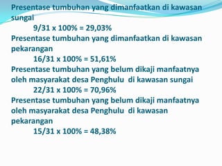 Presentase tumbuhan yang dimanfaatkan di kawasan
sungai
      9/31 x 100% = 29,03%
Presentase tumbuhan yang dimanfaatkan di kawasan
pekarangan
      16/31 x 100% = 51,61%
Presentase tumbuhan yang belum dikaji manfaatnya
oleh masyarakat desa Penghulu di kawasan sungai
      22/31 x 100% = 70,96%
Presentase tumbuhan yang belum dikaji manfaatnya
oleh masyarakat desa Penghulu di kawasan
pekarangan
      15/31 x 100% = 48,38%
 