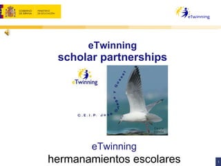 eTwinning scholar partnerships eTwinning hermanamientos escolares 