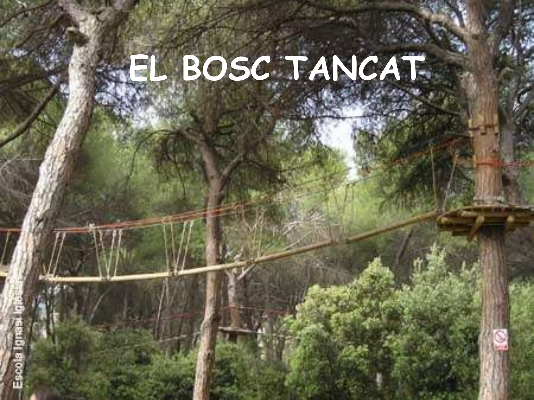 Ells són els més extrangers de tots, arriben al món de nou, és una forma de vida que no han vist mai. Hem d’ajudar a que trobin el seu lloc. Apendre a viure a la teva ciutat, és apendre a viure a totes les del món. Tots els nens d’aquest paispasaran per l’escola. Educació dintre del planol: formes de vida que la ciutat té. L’Educació ha de pasar en primera plana, ajudem als nens a fer-se grans però de forma ficticia, per què és a la ciutat on es fara gran. Una curiositat en la que nosaltres els mestres hem de treballar és en l’entorn en que estan els nens. 