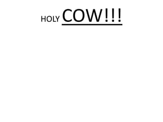 HOLY COW!!!
 