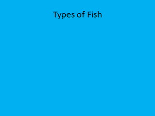 Types of Fish
 