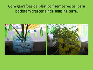 Com garrafões de plástico fizemos vasos, para
   poderem crescer ainda mais na terra.
 