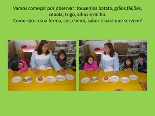 Vamos começar por observar: touxemos batata, grãos,feijões,
                cebola, trigo, alhos e milho.
Como são: a sua forma, cor, cheiro, sabor e para que servem?
 