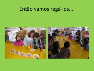 Então vamos regá-los....
 