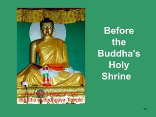 Before the Buddha's Holy Shrine   