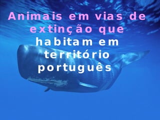 Animais em vias de extinção que   habitam em território português   