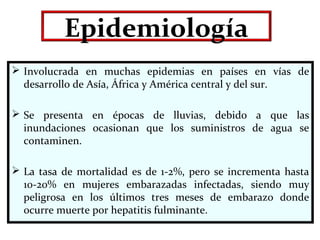 Epidemiología
 Involucrada en muchas epidemias en países en vías de
desarrollo de Asía, África y América central y del sur.
 Se presenta en épocas de lluvias, debido a que las
inundaciones ocasionan que los suministros de agua se
contaminen.
 La tasa de mortalidad es de 1-2%, pero se incrementa hasta
10-20% en mujeres embarazadas infectadas, siendo muy
peligrosa en los últimos tres meses de embarazo donde
ocurre muerte por hepatitis fulminante.
 