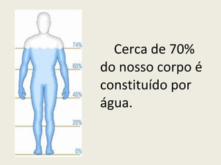 Cerca de 70% do nosso corpo é constituído por água. 