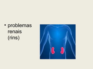 problemas renais (rins) 