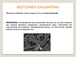 BIZITZAREN SAILKAPENA:
Bizidunak sailkatzko modua ezaguna hau da: bost erreinuak.
- MONEROAK: zelulabakarrak eta prokariotoak dira,hau da, ez dute nukleorik
eta material genetikoa zitoplasman sakabanaturik dago. Autotrofoek eta
heterotrofoak izan daitezke. Zelulabakarrak direnez, ez dute ehunik. Zenbait
bakterio erreinu honetakoak dira.
 