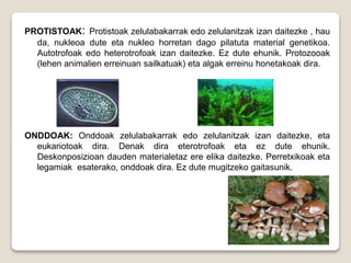 PROTISTOAK: Protistoak zelulabakarrak edo zelulanitzak izan daitezke , hau
da, nukleoa dute eta nukleo horretan dago pilatuta material genetikoa.
Autotrofoak edo heterotrofoak izan daitezke. Ez dute ehunik. Protozooak
(lehen animalien erreinuan sailkatuak) eta algak erreinu honetakoak dira.
ONDDOAK: Onddoak zelulabakarrak edo zelulanitzak izan daitezke, eta
eukariotoak dira. Denak dira eterotrofoak eta ez dute ehunik.
Deskonposizioan dauden materialetaz ere elika daitezke. Perretxikoak eta
legamiak esaterako, onddoak dira. Ez dute mugitzeko gaitasunik.
 