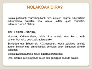 NOLAKOAK DIRA?
Zelula gehienak mikroskopikoak dira, zelulen neurria adierazteko
mikrometroa erabiltze nda luzera unitate gisa; milimetro-
milarena:1um=0,001mm.
ZELULAREN HISTORIA
Hook-ek, XVII.mendean, zelula hitza asmatu zuen kortxo xafla
batean ikusitako gelatxoak adierazteko.
Schleiden eta Schann-ek, XIX.mendean; teoria zelularra asmatu
zuten: Zelulak dira bizi-funtzioak betetzen duen bizidunen partetik
txikienak.
Zelula guztiak aurreko zelula batetik sortzen dira.
Izaki bizidun guztiak zelula batez edo gehiagoz osatuta daude.
 