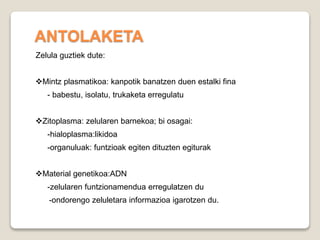 ANTOLAKETA
Zelula guztiek dute:
Mintz plasmatikoa: kanpotik banatzen duen estalki fina
- babestu, isolatu, trukaketa erregulatu
Zitoplasma: zelularen barnekoa; bi osagai:
-hialoplasma:likidoa
-organuluak: funtzioak egiten dituzten egiturak
Material genetikoa:ADN
-zelularen funtzionamendua erregulatzen du
-ondorengo zeluletara informazioa igarotzen du.
 